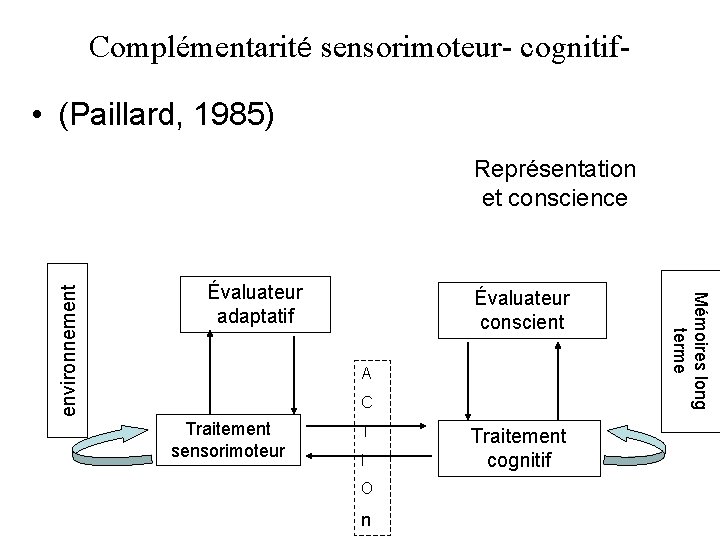 Complémentarité sensorimoteur- cognitif- • (Paillard, 1985) Évaluateur adaptatif Évaluateur conscient A C Traitement sensorimoteur