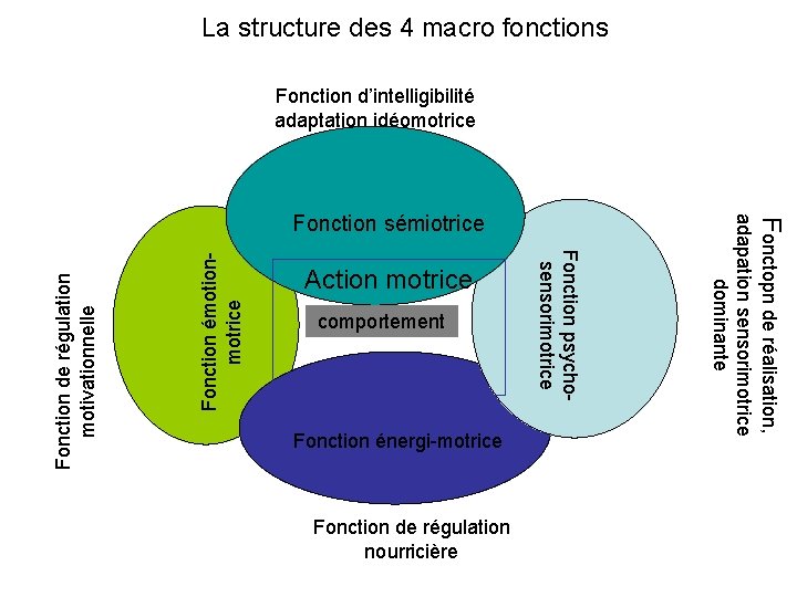 La structure des 4 macro fonctions Fonction d’intelligibilité adaptation idéomotrice Fonction émotionmotrice Fonction de