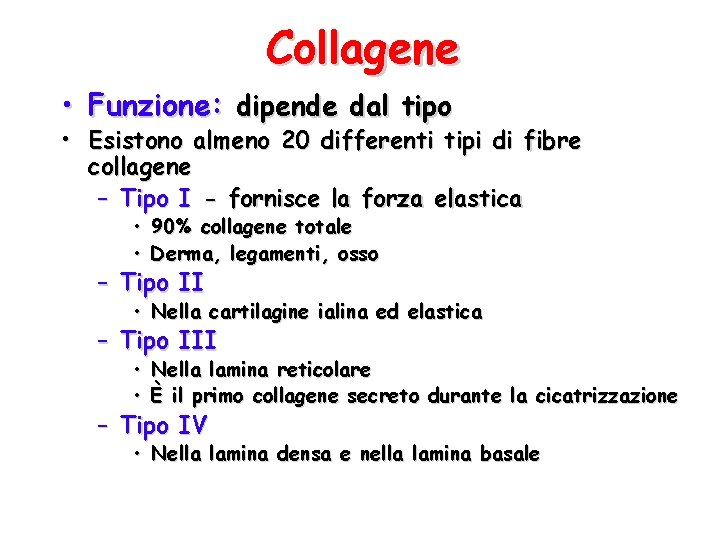 Collagene • Funzione: dipende dal tipo • Esistono almeno 20 differenti tipi di fibre