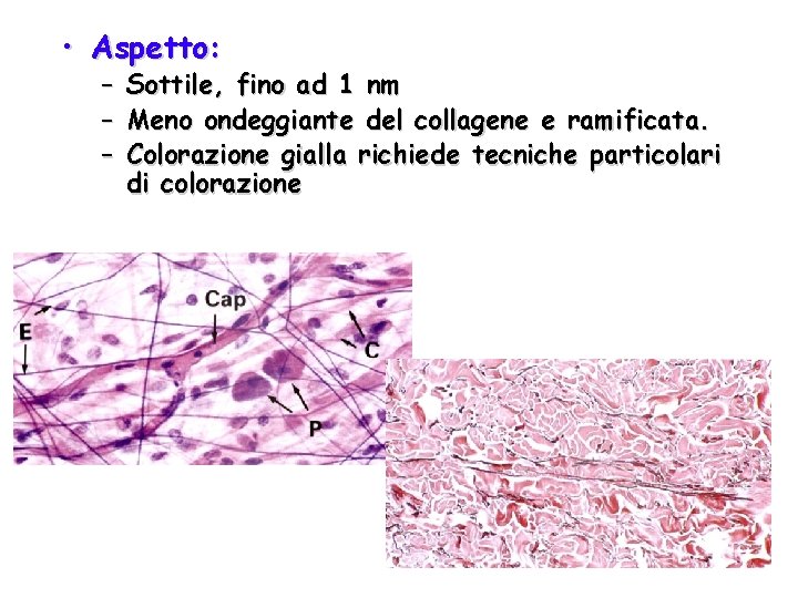  • Aspetto: – – – Sottile, fino ad 1 nm Meno ondeggiante del