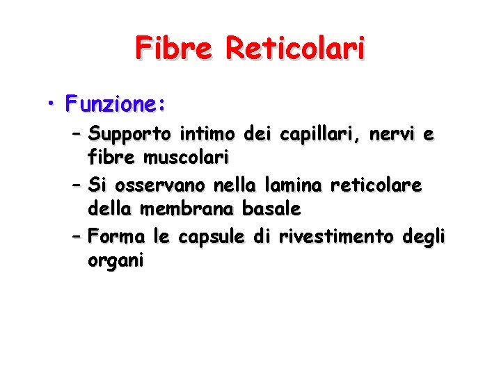 Fibre Reticolari • Funzione: – Supporto intimo dei capillari, nervi e fibre muscolari –