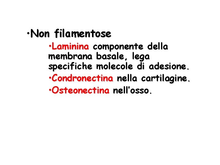  • Non filamentose • Laminina componente della membrana basale, lega specifiche molecole di