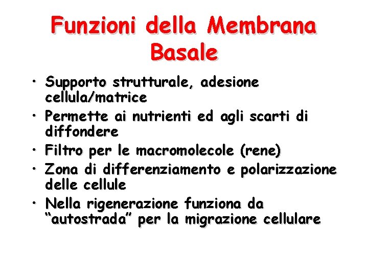 Funzioni della Membrana Basale • Supporto strutturale, adesione cellula/matrice • Permette ai nutrienti ed