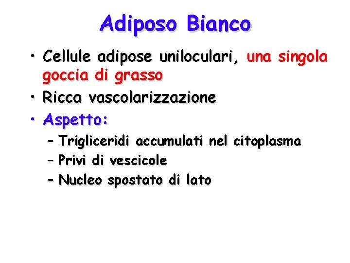 Adiposo Bianco • Cellule adipose uniloculari, una singola goccia di grasso • Ricca vascolarizzazione