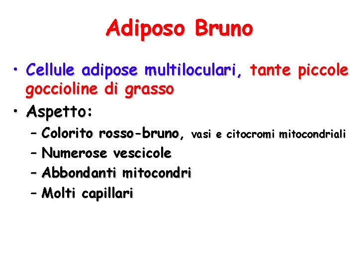 Adiposo Bruno • Cellule adipose multiloculari, tante piccole goccioline di grasso • Aspetto: –