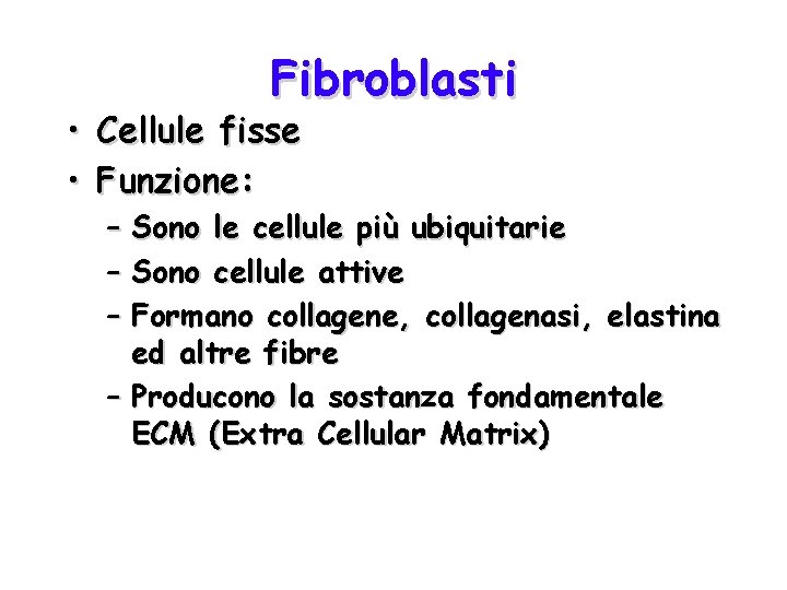 Fibroblasti • Cellule fisse • Funzione: – Sono le cellule più ubiquitarie – Sono