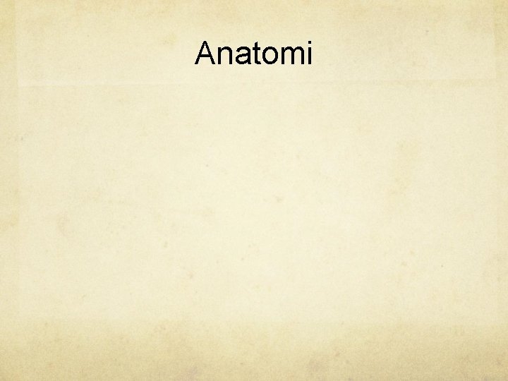 Anatomi 