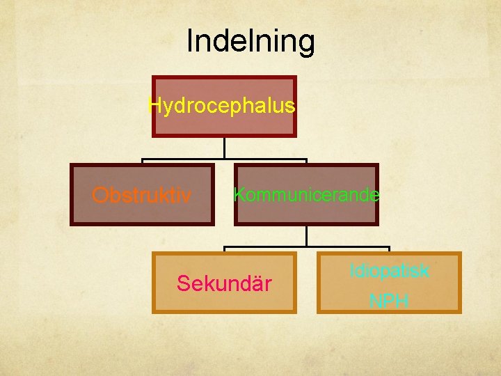 Indelning Hydrocephalus Obstruktiv Kommunicerande Sekundär Idiopatisk NPH 