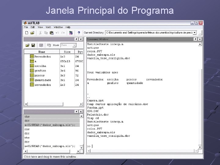 Janela Principal do Programa Janela Principal do Programa