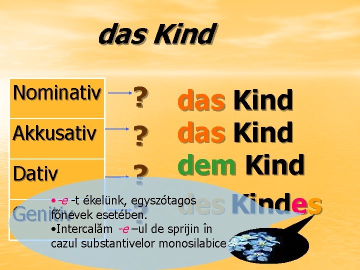 das Kind ? das Kind Akkusativ ? das Kind d em Kind Dativ ?