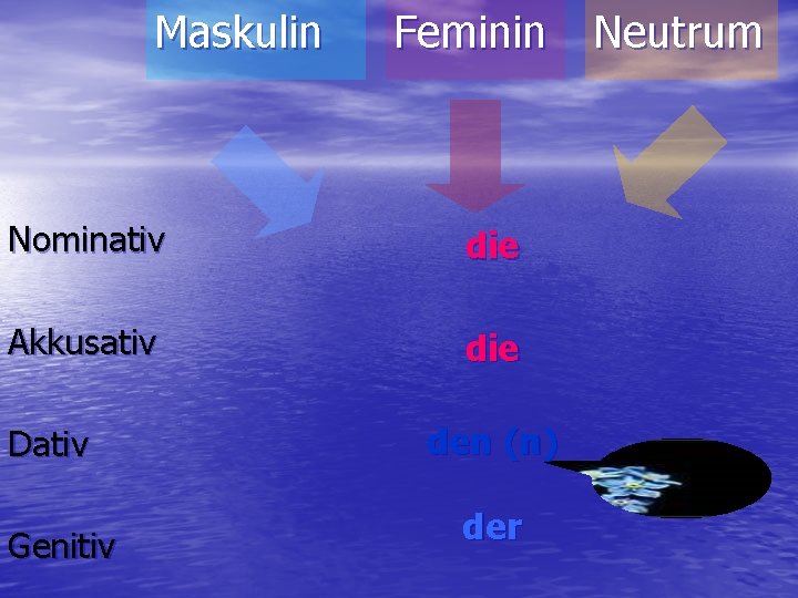 Maskulin Feminin Nominativ die Akkusativ die Dativ Genitiv den (n) der Neutrum 