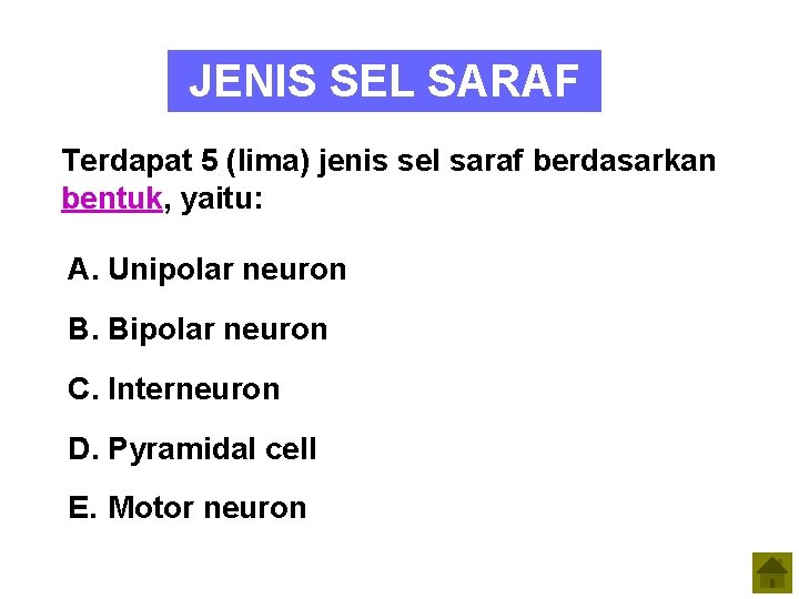 JENIS SEL SARAF Terdapat 5 (lima) jenis sel saraf berdasarkan bentuk, yaitu: A. Unipolar