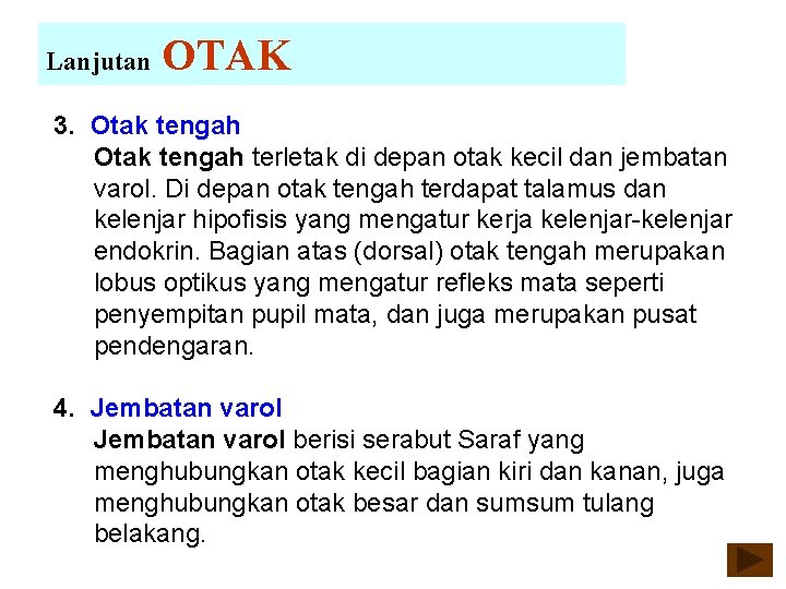 Lanjutan OTAK 3. Otak tengah terletak di depan otak kecil dan jembatan varol. Di