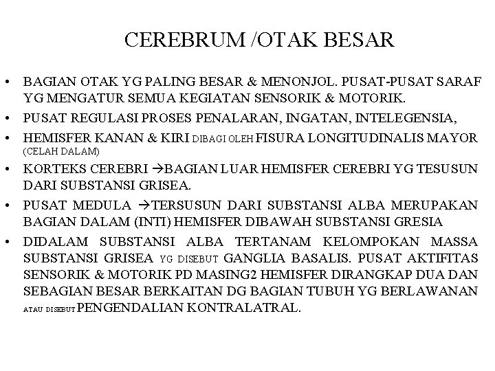 CEREBRUM /OTAK BESAR • BAGIAN OTAK YG PALING BESAR & MENONJOL. PUSAT-PUSAT SARAF YG