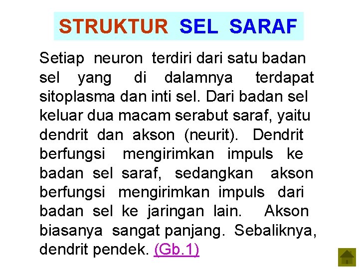 STRUKTUR SEL SARAF Setiap neuron terdiri dari satu badan sel yang di dalamnya terdapat