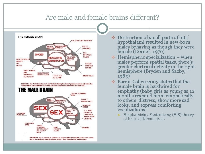 Are male and female brains different? v Destruction of small parts of rats’ hypothalami