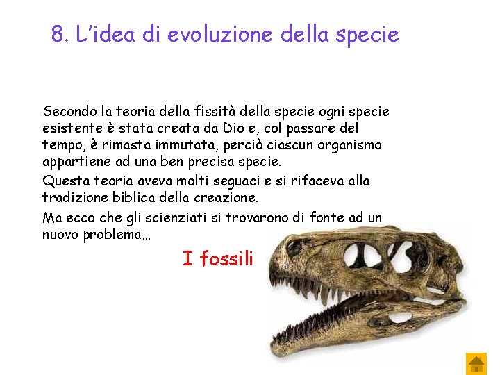 8. L’idea di evoluzione della specie Secondo la teoria della fissità della specie ogni