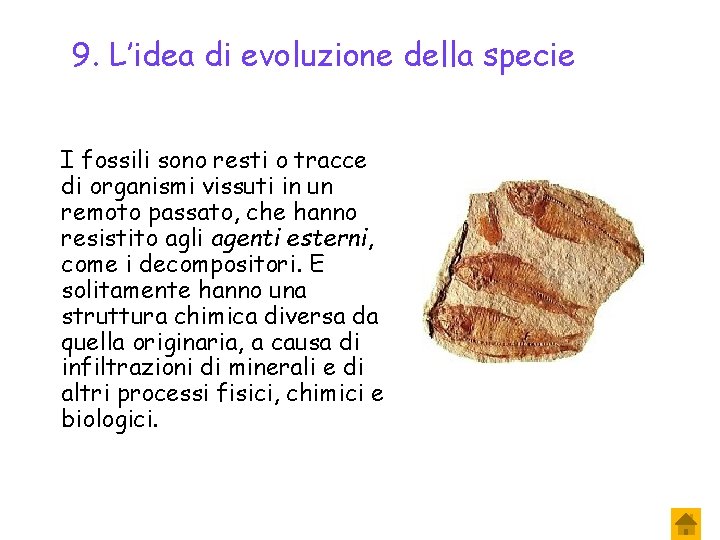 9. L’idea di evoluzione della specie I fossili sono resti o tracce di organismi