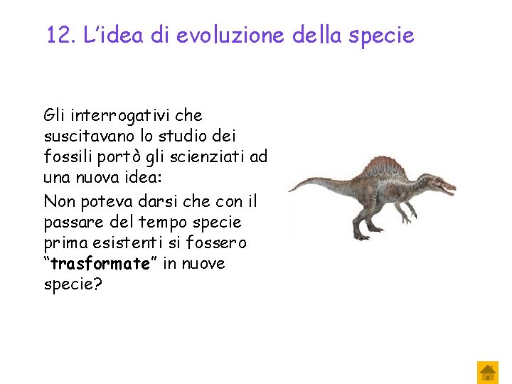 12. L’idea di evoluzione della specie Gli interrogativi che suscitavano lo studio dei fossili