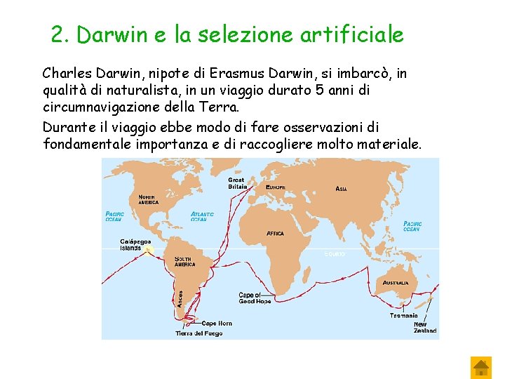 2. Darwin e la selezione artificiale Charles Darwin, nipote di Erasmus Darwin, si imbarcò,