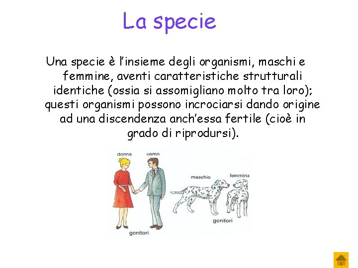 La specie Una specie è l’insieme degli organismi, maschi e femmine, aventi caratteristiche strutturali