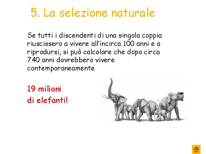 5. La selezione naturale Se tutti i discendenti di una singola coppia riuscissero a