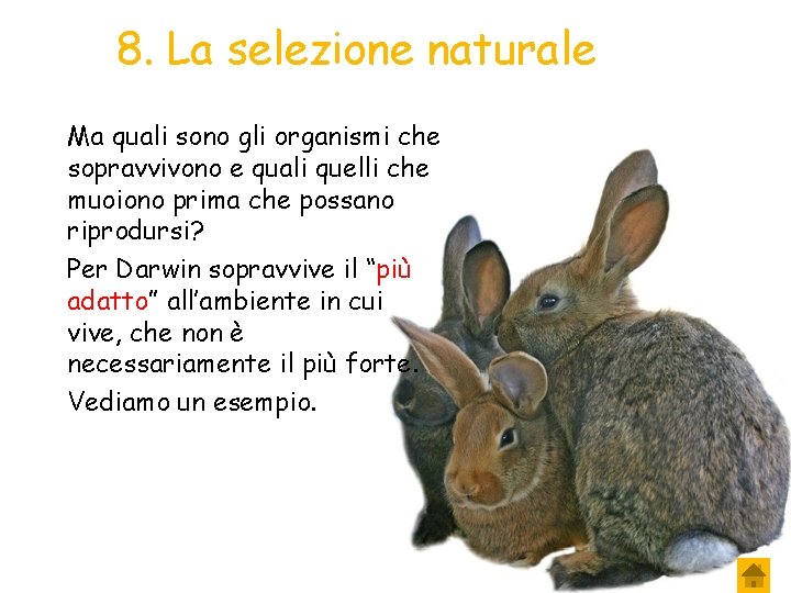 8. La selezione naturale Ma quali sono gli organismi che sopravvivono e quali quelli