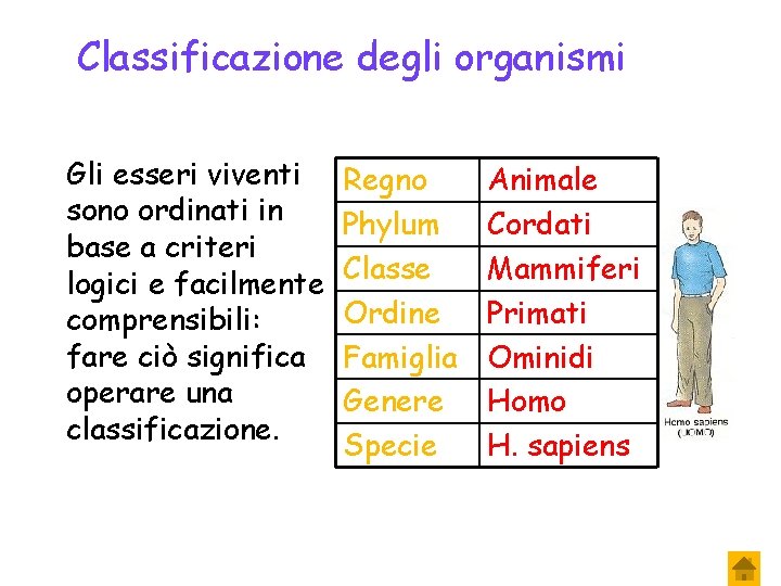 Classificazione degli organismi Gli esseri viventi sono ordinati in base a criteri logici e