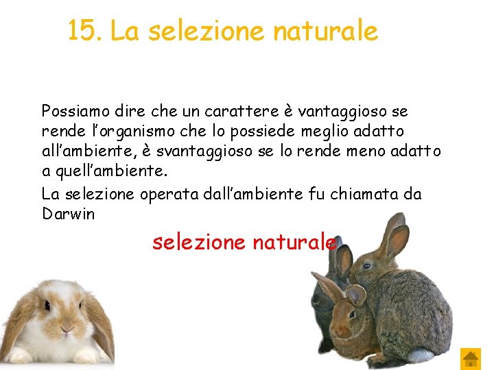 15. La selezione naturale Possiamo dire che un carattere è vantaggioso se rende l’organismo