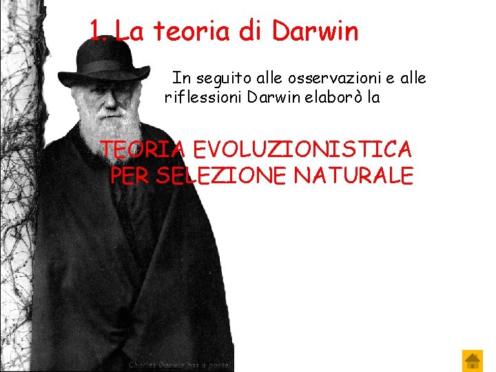 1. La teoria di Darwin In seguito alle osservazioni e alle riflessioni Darwin elaborò