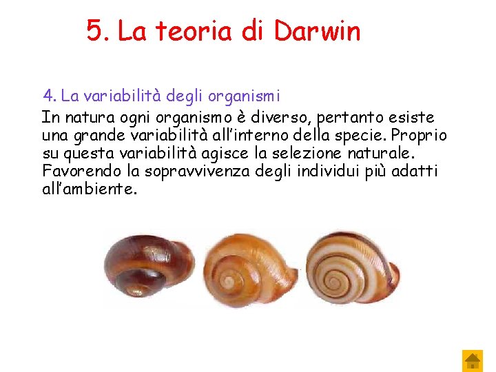 5. La teoria di Darwin 4. La variabilità degli organismi In natura ogni organismo