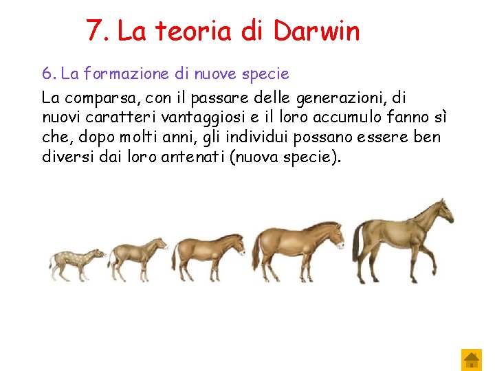 7. La teoria di Darwin 6. La formazione di nuove specie La comparsa, con