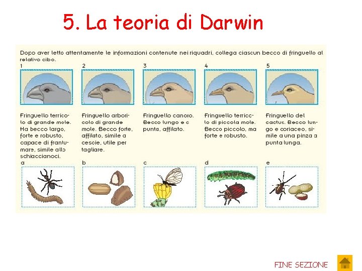 5. La teoria di Darwin FINE SEZIONE 