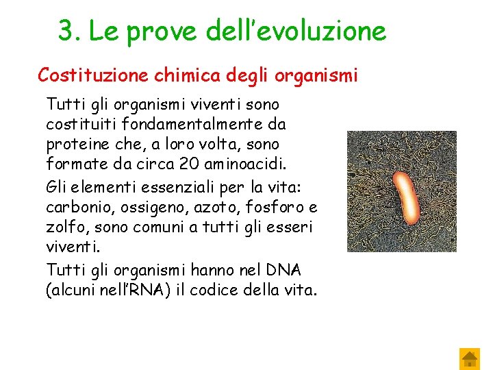 3. Le prove dell’evoluzione Costituzione chimica degli organismi Tutti gli organismi viventi sono costituiti