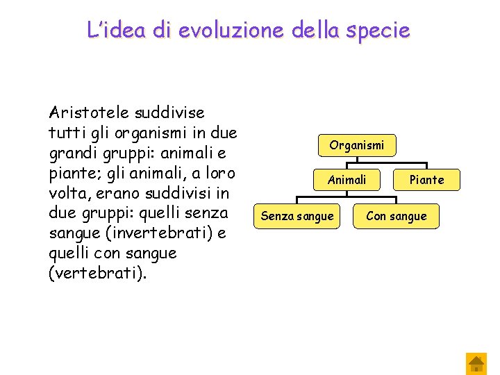 L’idea di evoluzione della specie Aristotele suddivise tutti gli organismi in due grandi gruppi: