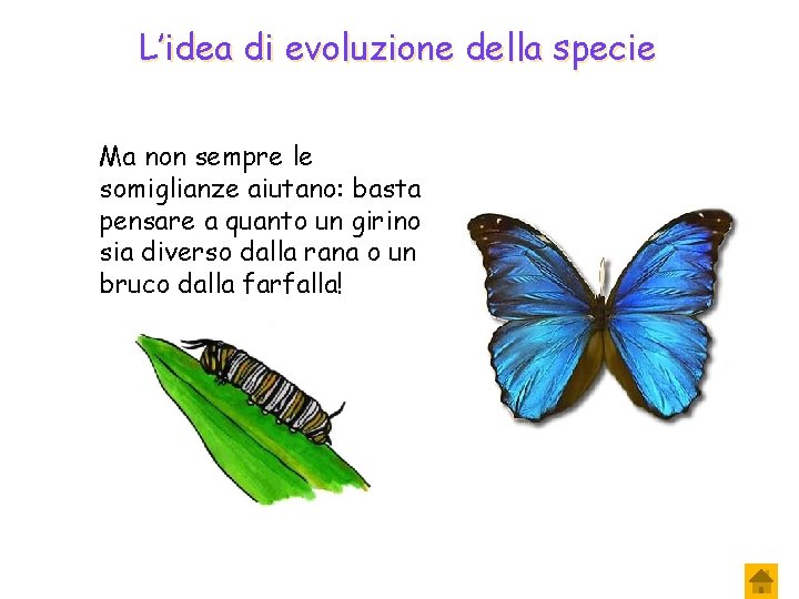 L’idea di evoluzione della specie Ma non sempre le somiglianze aiutano: basta pensare a