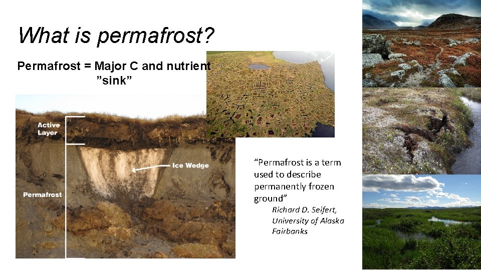 What is permafrost? Permafrost = Major C and nutrient ”sink” “Permafrost is a term