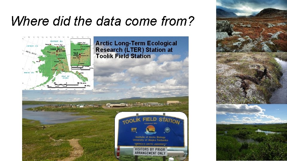 Where did the data come from? Arctic Long-Term Ecological Research (LTER) Station at Toolik