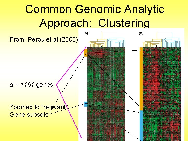 Common Genomic Analytic Approach: Clustering From: Perou et al (2000) d = 1161 genes
