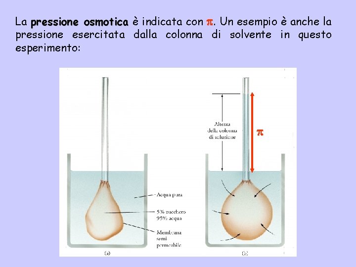 La pressione osmotica è indicata con . Un esempio è anche la pressione esercitata