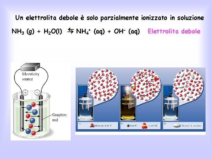 Un elettrolita debole è solo parzialmente ionizzato in soluzione NH + (aq) + OH