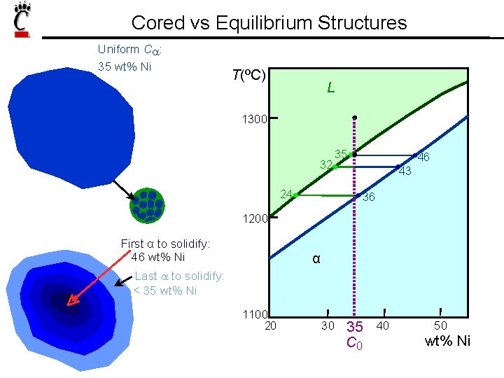 Cored vs Equilibrium Structures Uniform Ca: 35 wt% Ni T(ºC) L 1300 32 35