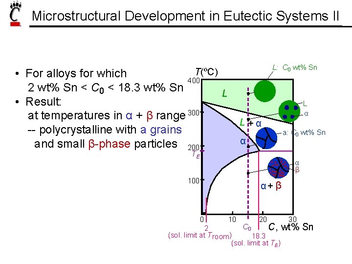 Microstructural Development in Eutectic Systems II L: C 0 wt% Sn T(ºC) • For