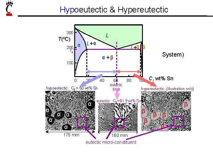 Hypoeutectic & Hypereutectic 300 L T(ºC) α 200 L+ α L+β β TE System)