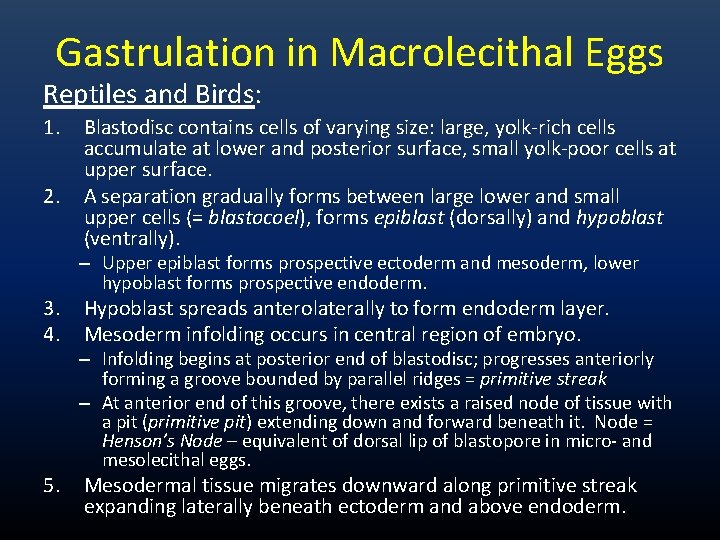 Gastrulation in Macrolecithal Eggs Reptiles and Birds: 1. 2. 3. 4. 5. Blastodisc contains Gastrulation in Macrolecithal Eggs Reptiles and Birds: 1. 2. 3. 4. 5. Blastodisc contains