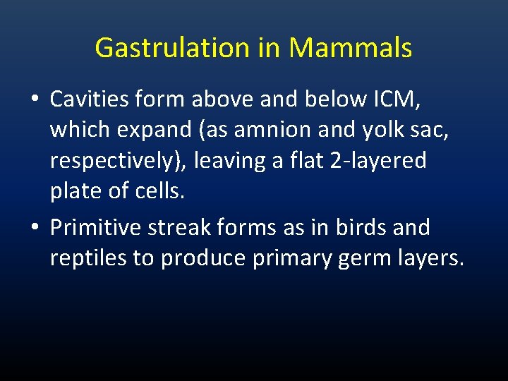 Gastrulation in Mammals • Cavities form above and below ICM, which expand (as amnion Gastrulation in Mammals • Cavities form above and below ICM, which expand (as amnion
