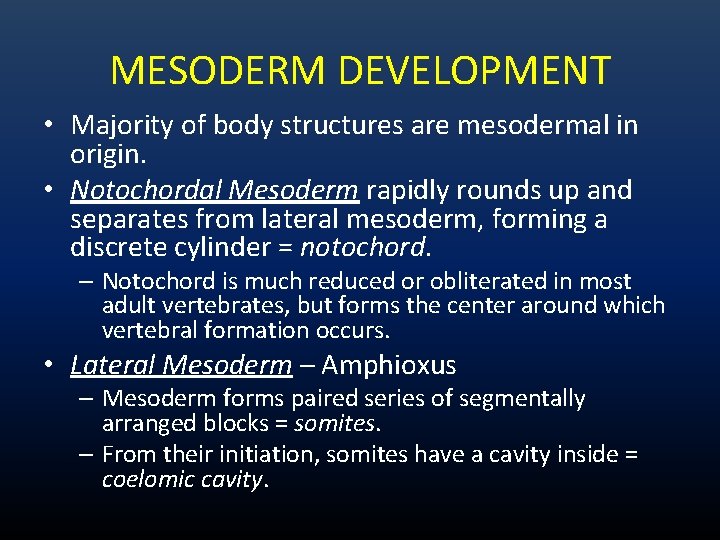 MESODERM DEVELOPMENT • Majority of body structures are mesodermal in origin. • Notochordal Mesoderm MESODERM DEVELOPMENT • Majority of body structures are mesodermal in origin. • Notochordal Mesoderm
