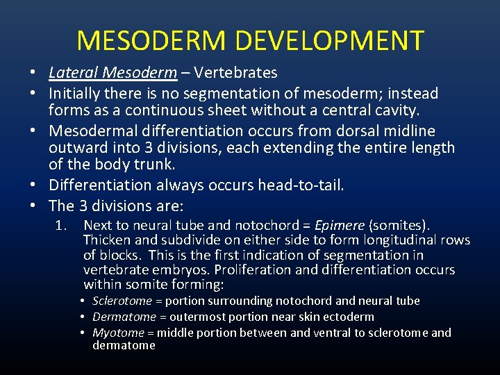 MESODERM DEVELOPMENT • Lateral Mesoderm – Vertebrates • Initially there is no segmentation of MESODERM DEVELOPMENT • Lateral Mesoderm – Vertebrates • Initially there is no segmentation of