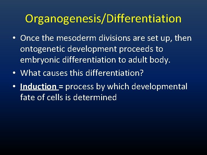 Organogenesis/Differentiation • Once the mesoderm divisions are set up, then ontogenetic development proceeds to Organogenesis/Differentiation • Once the mesoderm divisions are set up, then ontogenetic development proceeds to