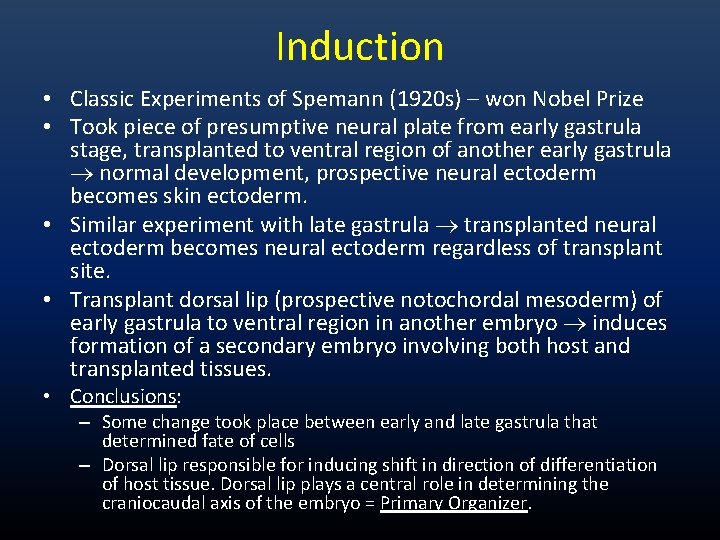 Induction • Classic Experiments of Spemann (1920 s) – won Nobel Prize • Took Induction • Classic Experiments of Spemann (1920 s) – won Nobel Prize • Took